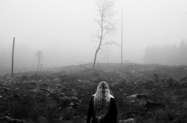 FÅGELLE